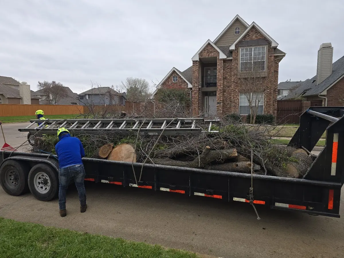 Expert Lot Clearing with proper safety equipment in Power